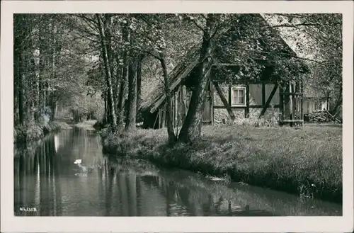 Lübben (Spreewald) Lubin (Błota) Kanal im Spreewald mit Fachwerkhaus g1956