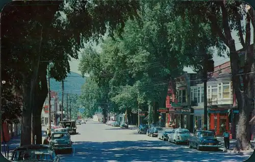 Postcard Middleburgh Main Street and Business district 1960