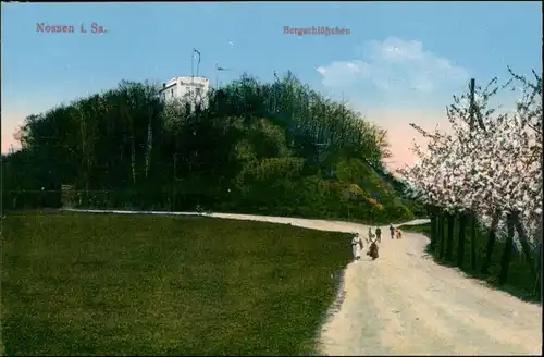 Ansichtskarte Nossen Weg zum Bergschlösschen 1914 