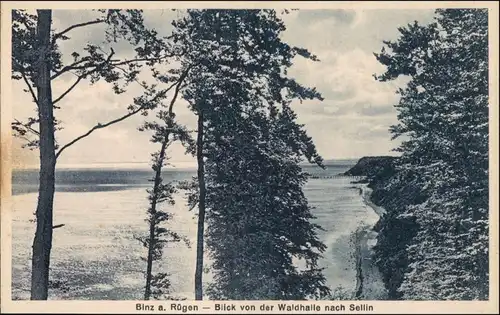 Ansichtskarte Binz (Rügen) Blick von der Waldhalle nach Sellin 1924 