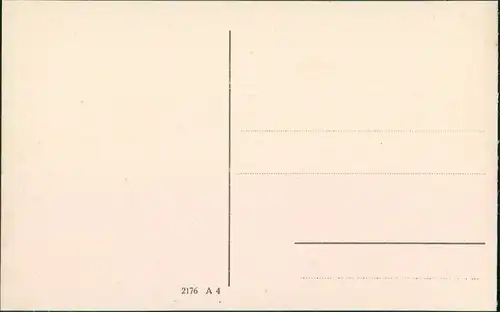 Ansichtskarte Binz (Rügen) Blick von der Waldhalle nach Sellin 1924 