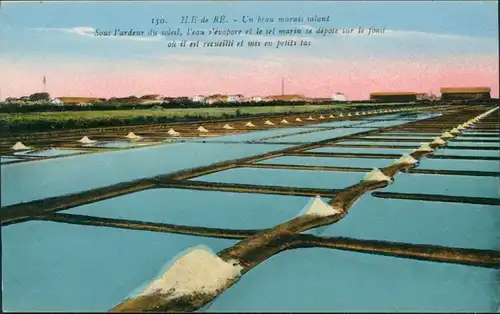 La Couarde-sur-Mer Île de Ré, Un beau marais salant Sous l'ardeur du soleil 1923