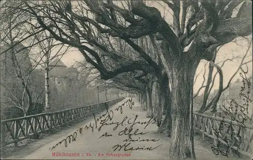 Ansichtskarte Mühlhausen (Thüringen) Am Hohengraben 1908