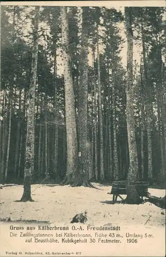 Ansichtskarte Kälberbronn -Pfalzgrafenweiler Winterpartie - Waldbank 1909 