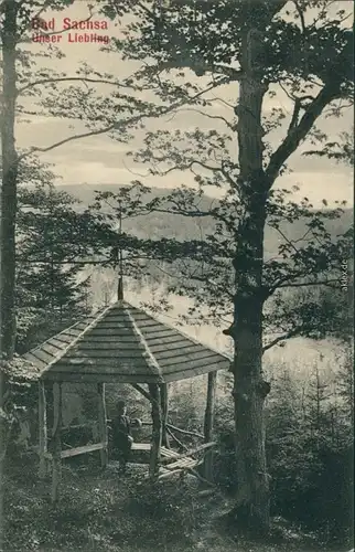 Ansichtskarte Bad Sachsa Pavillon - Blick ins Umland 1906 