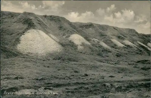 Postcard Fjerritslev Svinklovene bei Svinkløv 1928