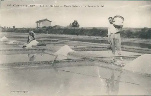 .Charente-Maritime Île d’Oléron: Marais Salants Récolte du Sel/Salzernte  1912