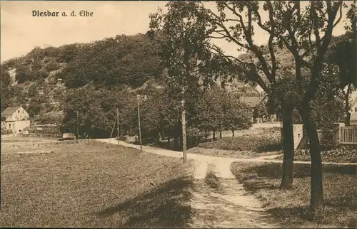 Ansichtskarte Diesbar (Elbe)-Nünchritz (Elbe) Partie am Elbweindorf 1924