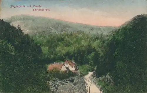 Ansichtskarte Seeheim-Jugenheim Balkhäuser Tal 1911 