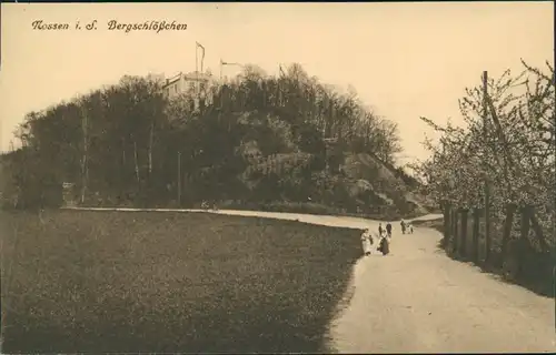 Ansichtskarte Nossen Bergschlößchen mit Weg und Menschen 1913