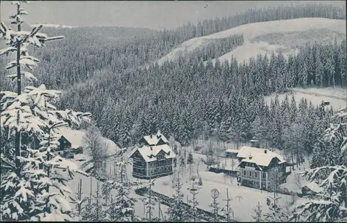 WaldbärenburgbAltenberg (Erzgebirge) Winter Bärenburg: Hotel Schäfermühle 1914