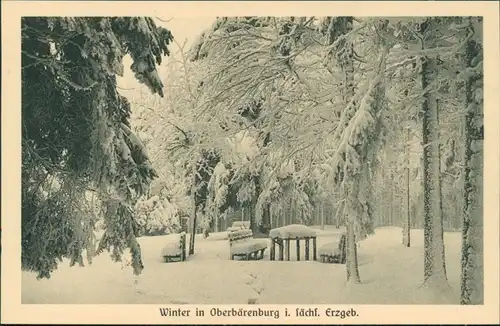 Oberbärenburg-Altenberg (Erzgebirge) Winterlandschaft, Rastplatz im Wald 1914