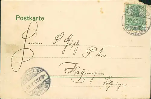 Neustadt i. Sachsen Partie in der Albertstraße (schwarz/weiß) 1905