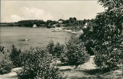 Ansichtskarte Sandersdorf-Brehna Strandbad 1964