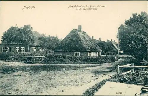 Ansichtskarte Niebüll Straßenpartie - Alte holsteinische Buaernhäuser 1908 