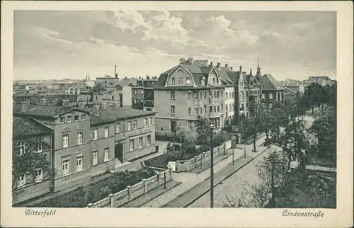 Ansichtskarte Bitterfeld Partie in der Lindenstraße 1928 