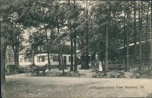 Ansichtskarte Hohwald (Sachsen) Kutsche vor der Hohwaldschänke b Neustadt 1918