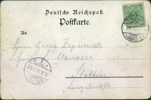 Litho AK Thale (Harz) Hexensprung, Winzenburg, Hotel Rosstrappe 1893 