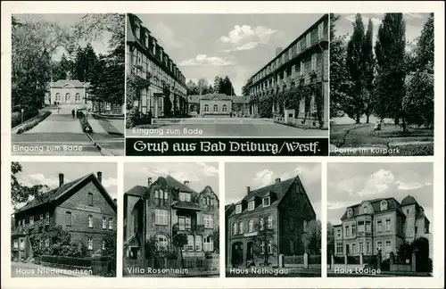 Bad Hermannsborn-Bad Driburg Eingang zum Bade, Kurpark, Villen: Niedersachsen, Rosenheim, Nethogau, Lödige 1956