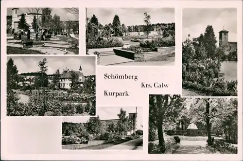 Ansichtskarte Schömberg (Schwarzwald) Kurpark 1956