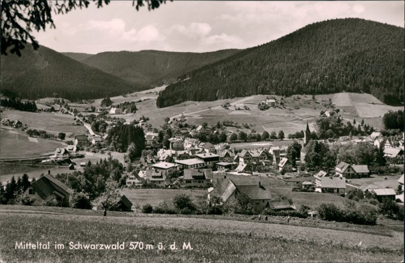 Der Artikel mit der oldthingid 31980651 ist aktuell ausverkauft.