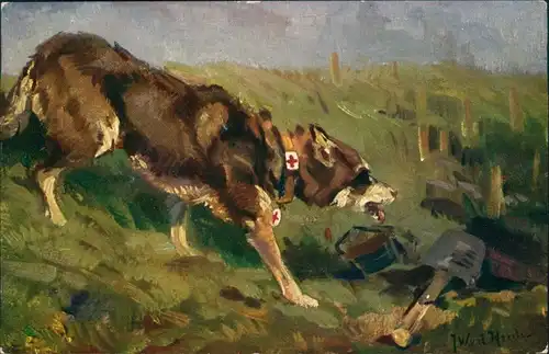  Wohlfahrtskarte Verein für Sanitätshunde Oldenburg i. Gr. Künstlerkarte 1915