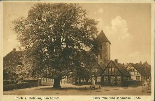 Ansichtskarte Preetz Straßenpartie - schmucke Linde und Stadtkirche 1916 