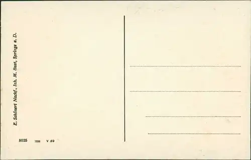 Ansichtskarte Springe Gasthaus Deutsches Haus 1924 