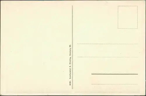 Ansichtskarte Barmstedt-Vossloch: Markt, Hotel, Gehölz, Mühle  1925