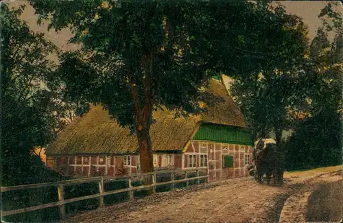 Bekdorf (Kr. Steinburg) Straße, Bauernhaus - Aus der Marsch 1913 