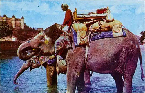 Jaipur जयपुर Jayapur Elephant Ride/Elefantenreiter 1965