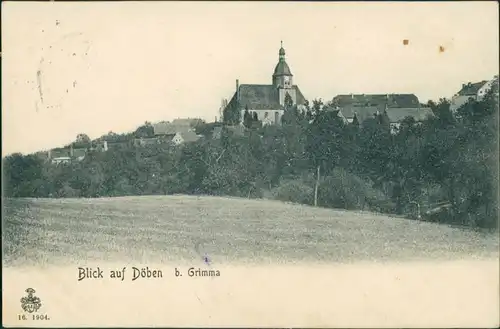Ansichtskarte Döben-Grimma Blick auf die Stadt 1904 