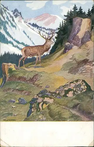 Ansichtskarte  Hirsch, Künstlerkarte Hochwaldleben 1917 