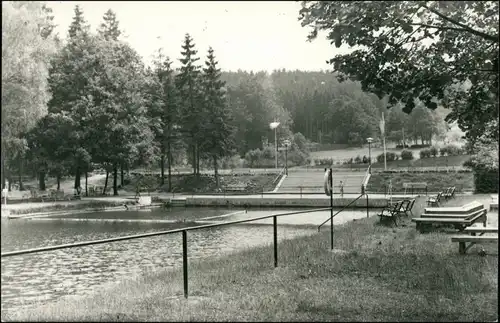 Ansichtskarte Polenz-Neustadt (Sachsen) Waldbad Polenz 1964 