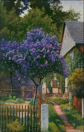 Ansichtskarte  Stimmungsbild, blühender Garten 1918 