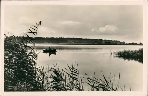 Ansichtskarte Kölpinsee (Usedom)-Loddin der Kölpinsee 1956