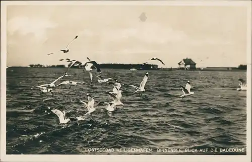 Ansichtskarte Heiligenhafen Binnensee mit Blick auf die Badedüne 1928