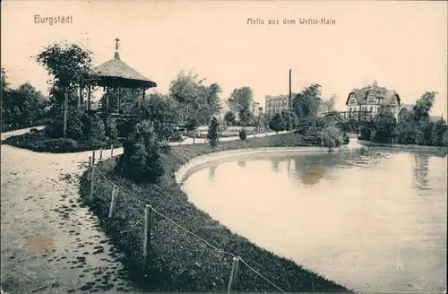 Ansichtskarte Burgstädt Motiv aus dem Wettin-Hain 1913 