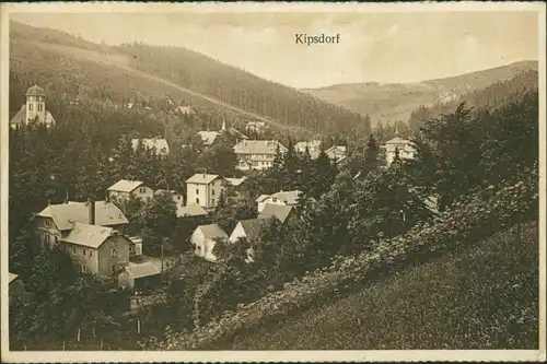 Ansichtskarte Kipsdorf-Altenberg (Erzgebirge) Blick auf Stadt und Fabrik 1924 