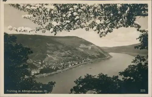 Assmannshausen am Rhein-Rüdesheim (Rhein) Panorama-Ansichten mit Rhein 1932