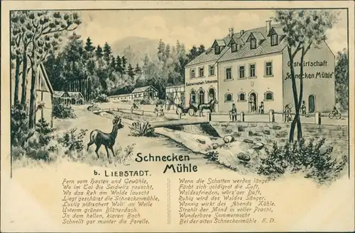 Ansichtskarte Liebstadt Gastwirtschaft Schneckenmühle 1907 