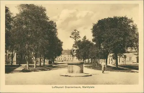 Ansichtskarte Oranienbaum-Oranienbaum-Wörlitz Partie am Marktplatz 1924 