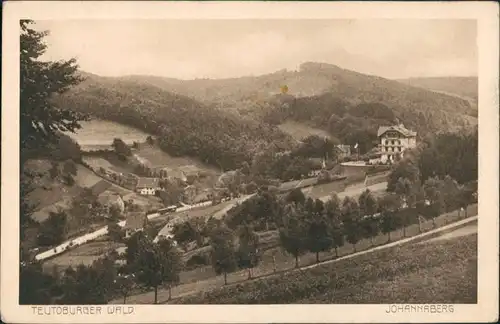 Foto Berlebeck-Detmold Johannaberg - Panorama 1926 Privatfoto