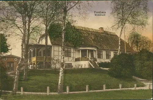 Ansichtskarte Norgaardholz-Steinberg Forsthaus Waldlust 1927