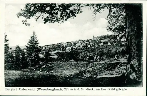 Ansichtskarte Osterwald-Salzhemmendorf Blick auf die Stadt 1955