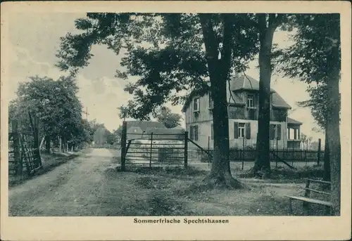Ansichtskarte Spechtshausen-Tharandt Dorfstraße 1926 