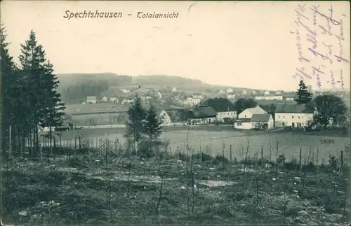 Ansichtskarte Spechtshausen-Tharandt Blick auf die Stadt 1928 