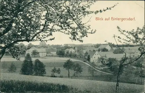 Ansichtskarte Hintergersdorf-Tharandt Straßenpartie an der Stadt 1911 