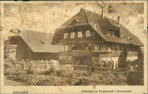 Ansichtskarte Freudenstadt Partie am Adrionshof - Oedenwald 1924 