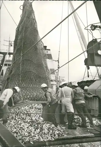 Stralsund   Museum für Meereskunde - Supertrawler - Ludwig Turek 1981